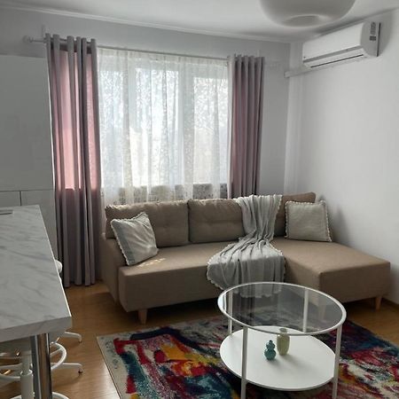 Alma Apartments Suceava Bagian luar foto