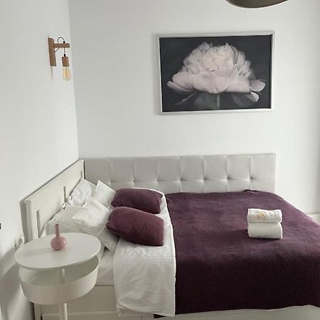 Alma Apartments Suceava Bagian luar foto