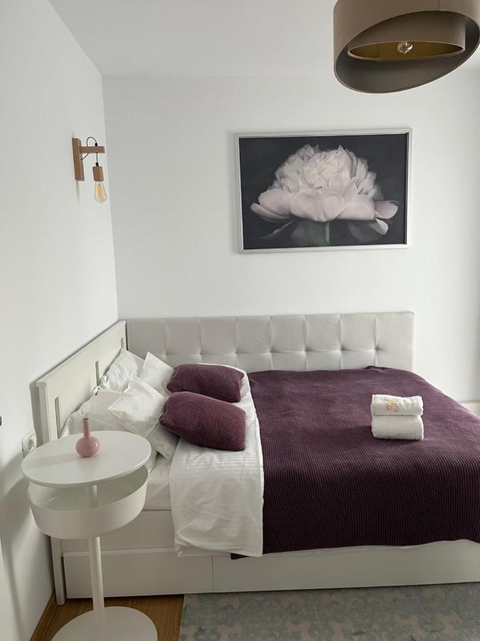 Alma Apartments Suceava Bagian luar foto