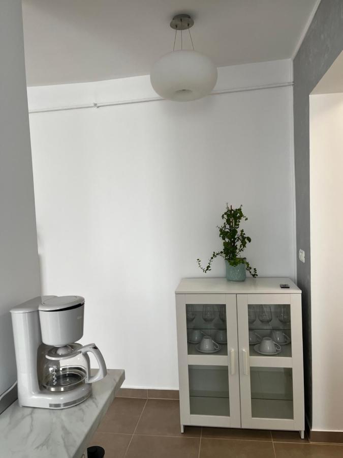 Alma Apartments Suceava Bagian luar foto